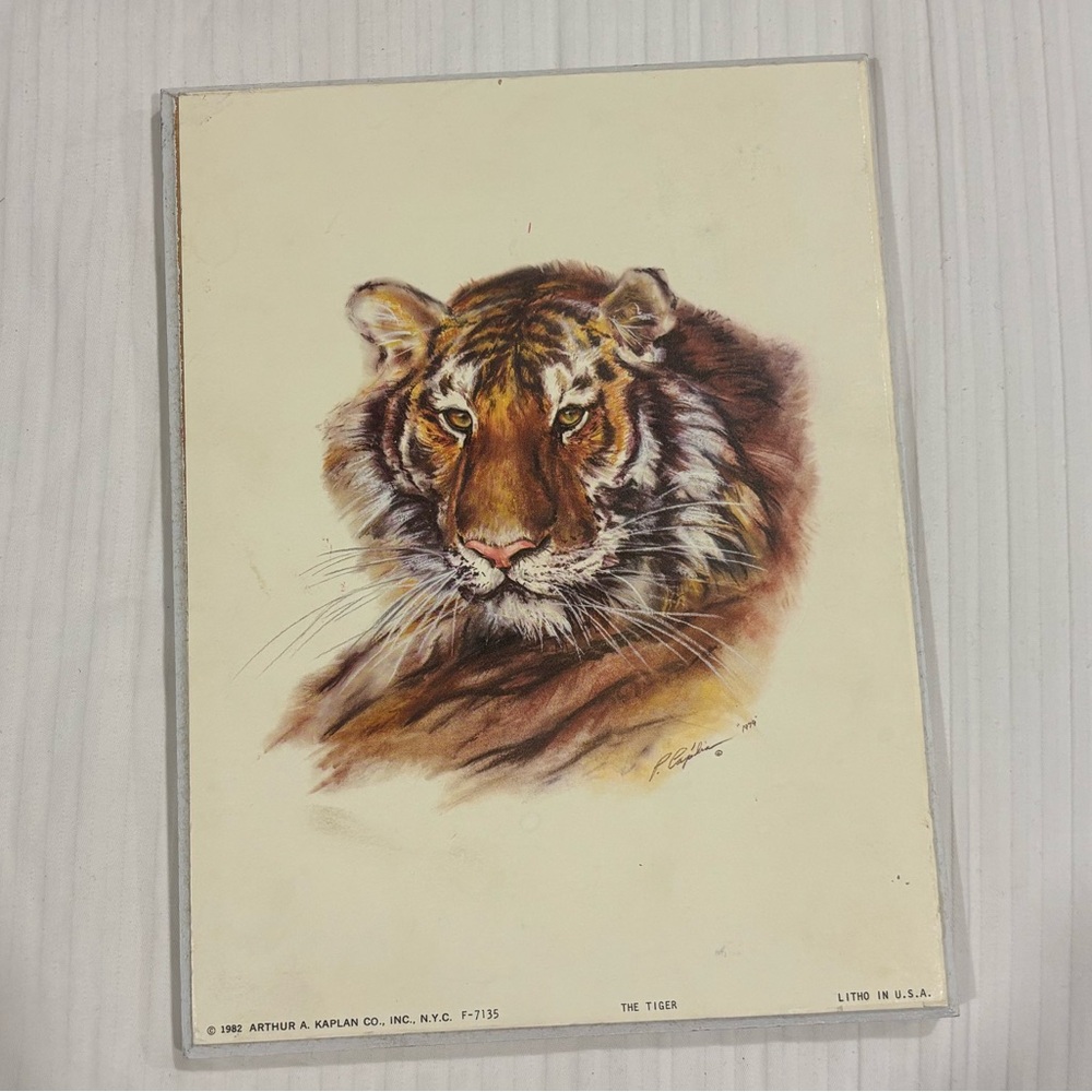 *BOGO Sale $15 &Under* Vintage Artist Signed Tiger Art Print